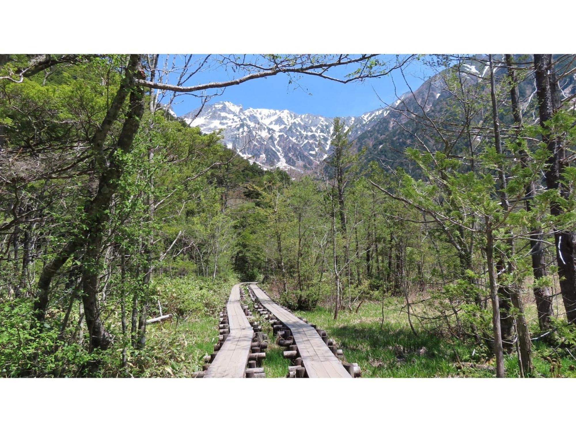 Nakanoyu Onsen Ryokan - Vacation Stay 06697V 松本市 エクステリア 写真