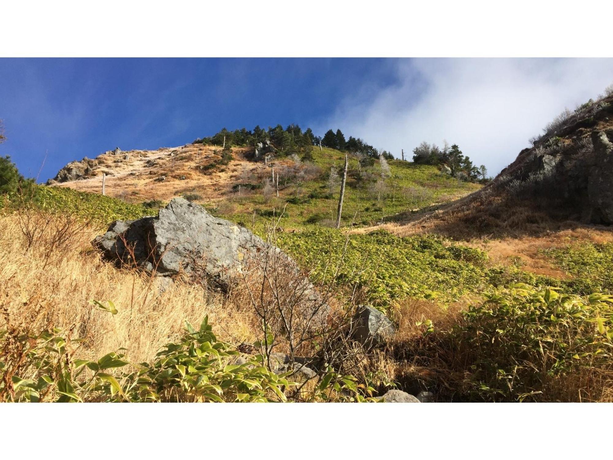 Nakanoyu Onsen Ryokan - Vacation Stay 06697V 松本市 エクステリア 写真
